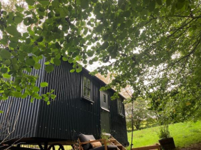 Cornwall Woodland Shepherd's Hut Deirdres Hut